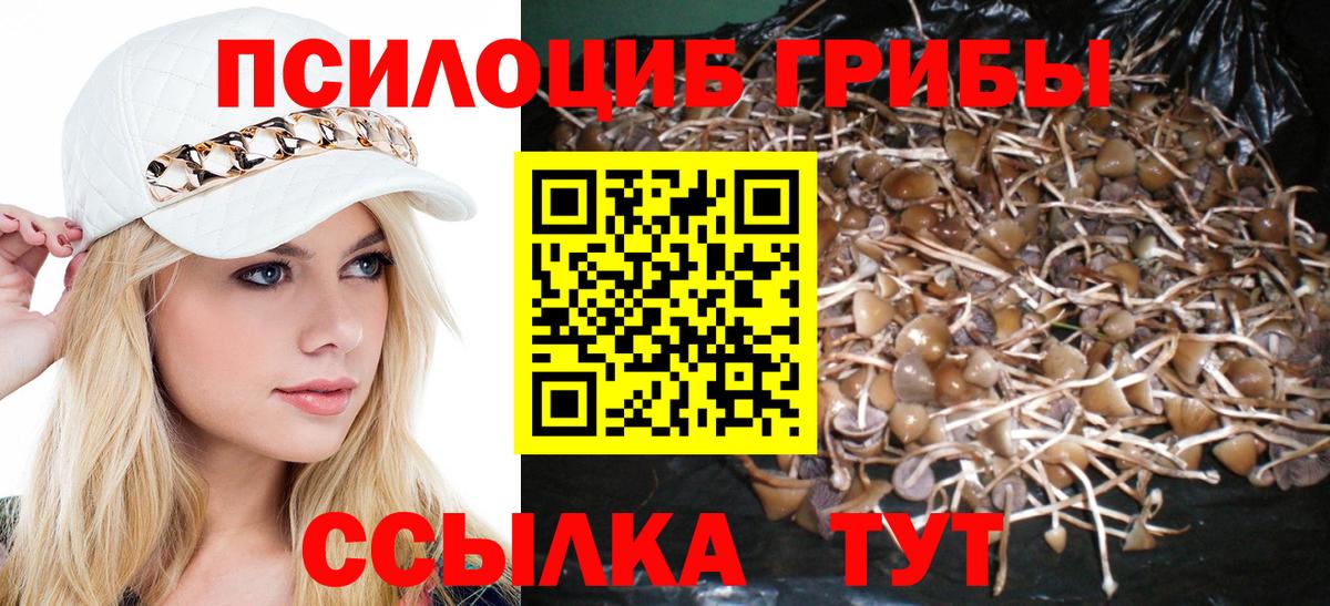 Псилоцибиновые грибы Cubensis  Вход с VPN  Пыть-Ях 